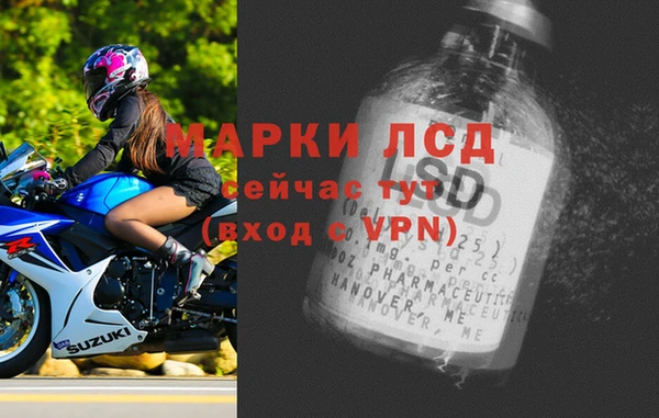 амф Бородино