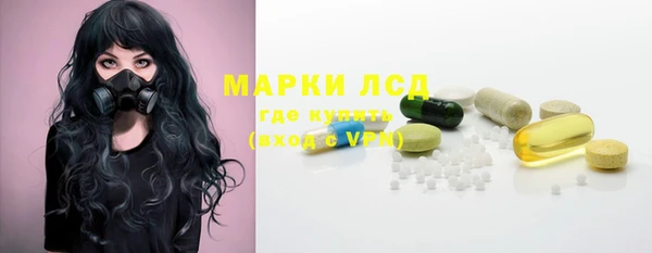амф Бородино