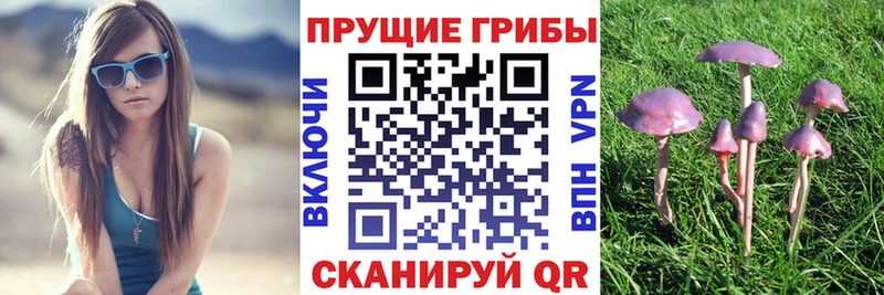 Галлюциногенные грибы мицелий  Джанкой 