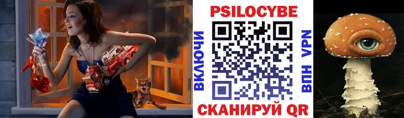 Галлюциногенные грибы Cubensis Джанкой